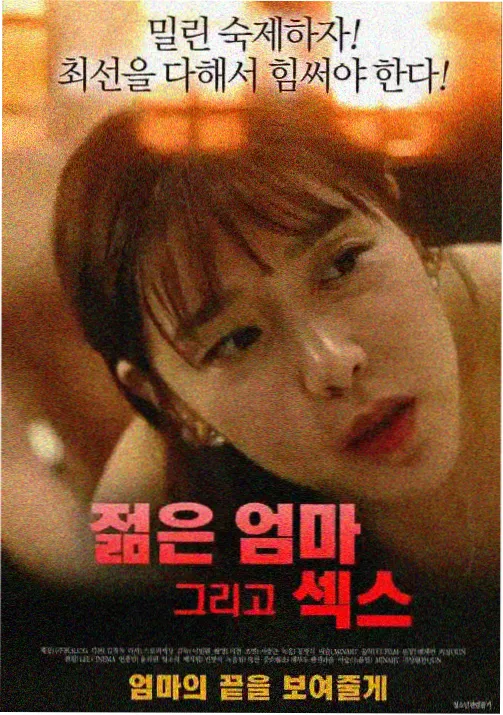 档案001云栈主干曲度与第一枝位局部